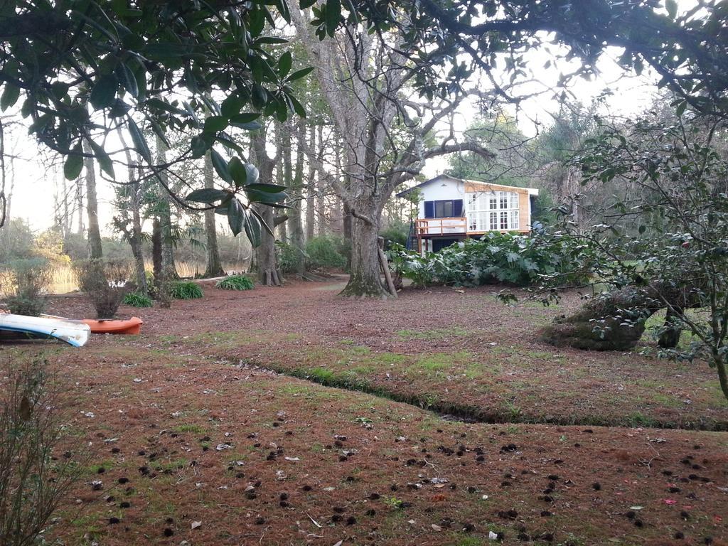 Casa Del Bosque Vila Tigre Exterior foto